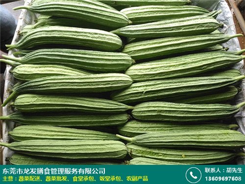 深圳工地蔬菜批發(fā)服務(wù)工廠直招 龍發(fā)膳食，新鮮蔬菜直供，助力高效餐飲