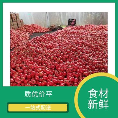 東莞蔬菜配送服務(wù) 保障新鮮蔬菜批發(fā)的關(guān)鍵環(huán)節(jié)