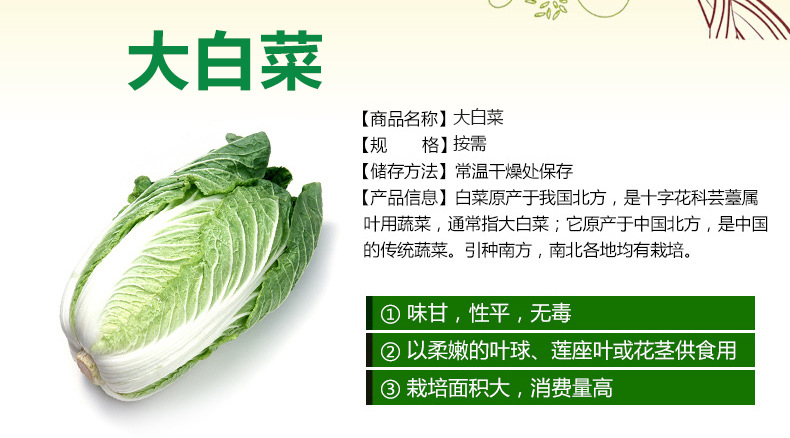 怡佳美果蔬 綠色健康，批發(fā)無憂——無公害大白菜的優(yōu)選之道